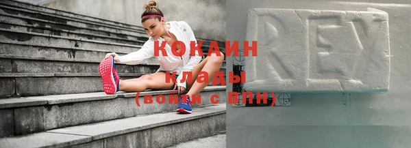 амф Новозыбков