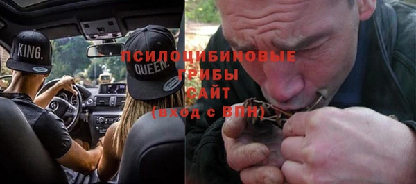 амф Новозыбков