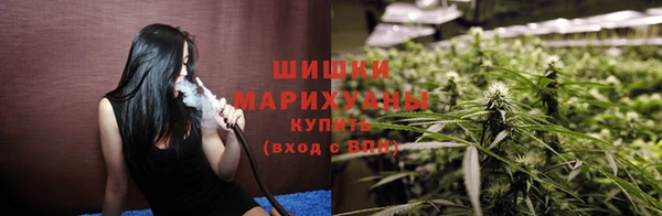 мяу мяу мука Болхов