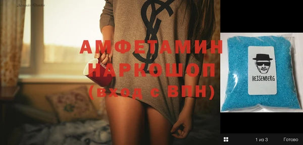 амф Новозыбков