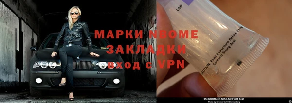амф Новозыбков