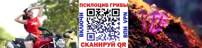 Галлюциногенные грибы мицелий  Арзамас 