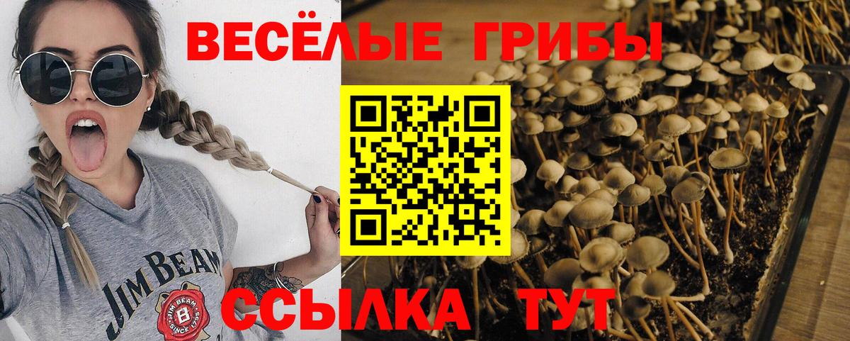 где продают наркотики  Галлюциногенные грибы мухоморы  Вход с VPN  Арзамас  Галлюциногенные грибы Cubensis 